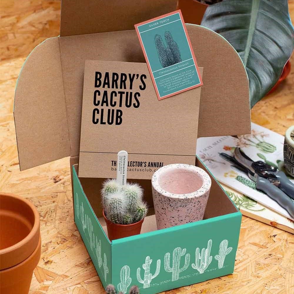 Barry's cactus Club contents of box