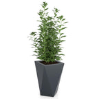 Monumo Vaso Outdoor Indoor Planter Anthracite