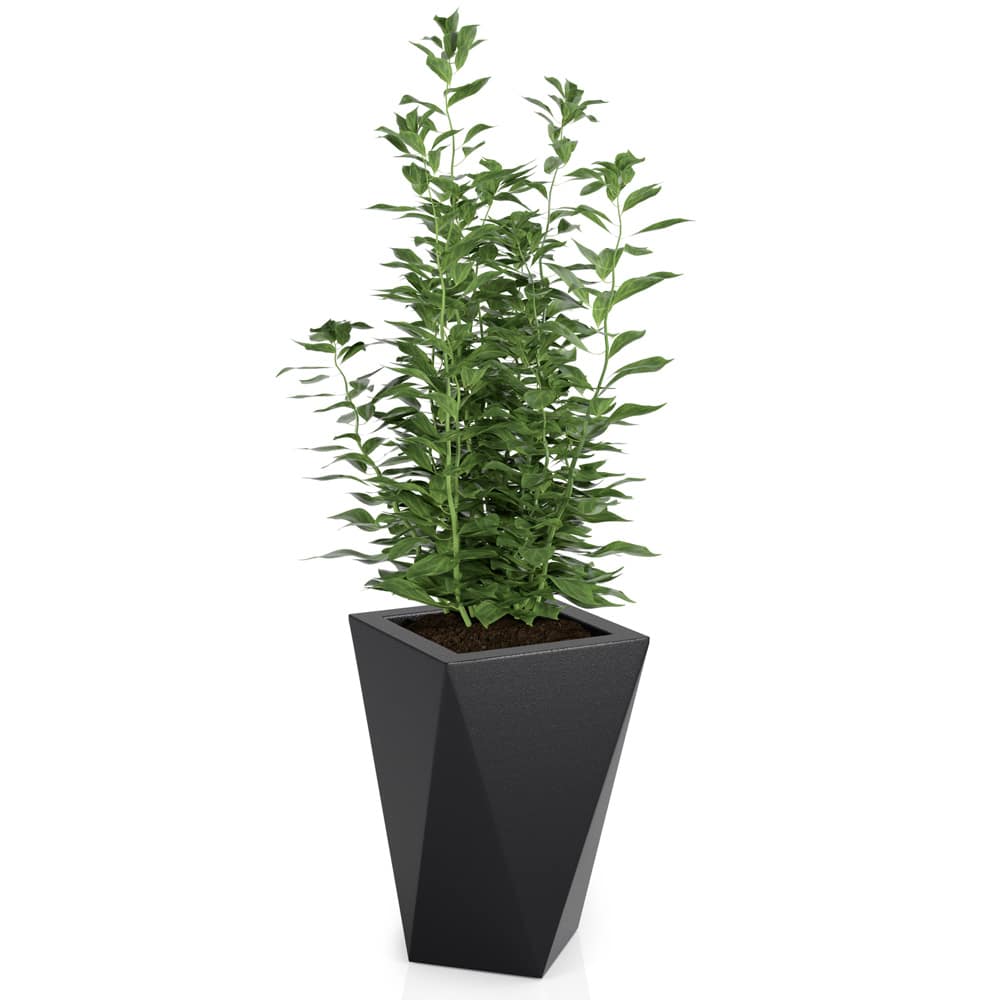 Monumo Vaso Outdoor Indoor Planter Black