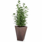 Monumo Vaso Outdoor Indoor Planter Corten