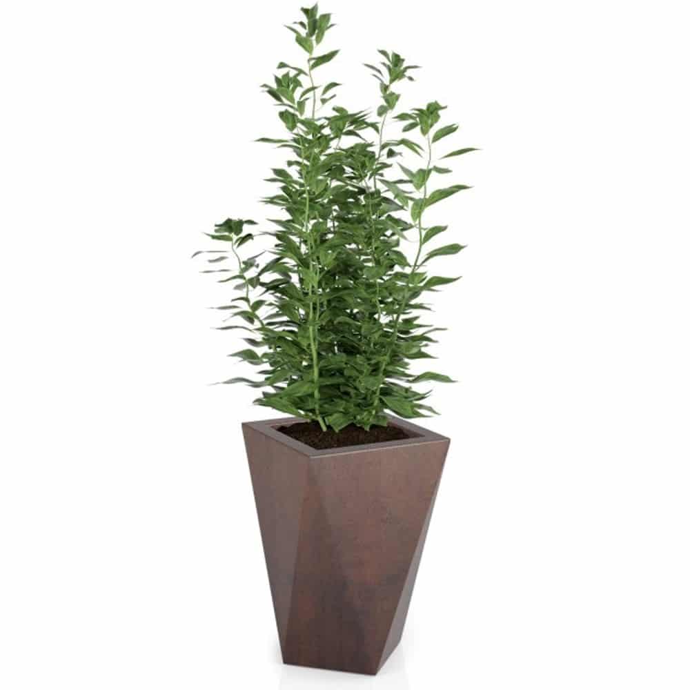 Monumo Vaso Outdoor Indoor Planter Corten