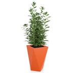 Monumo Vaso Outdoor Indoor Planter Orange