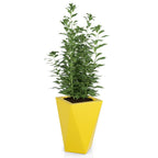 Monumo Vaso Outdoor Indoor Planter Yellow
